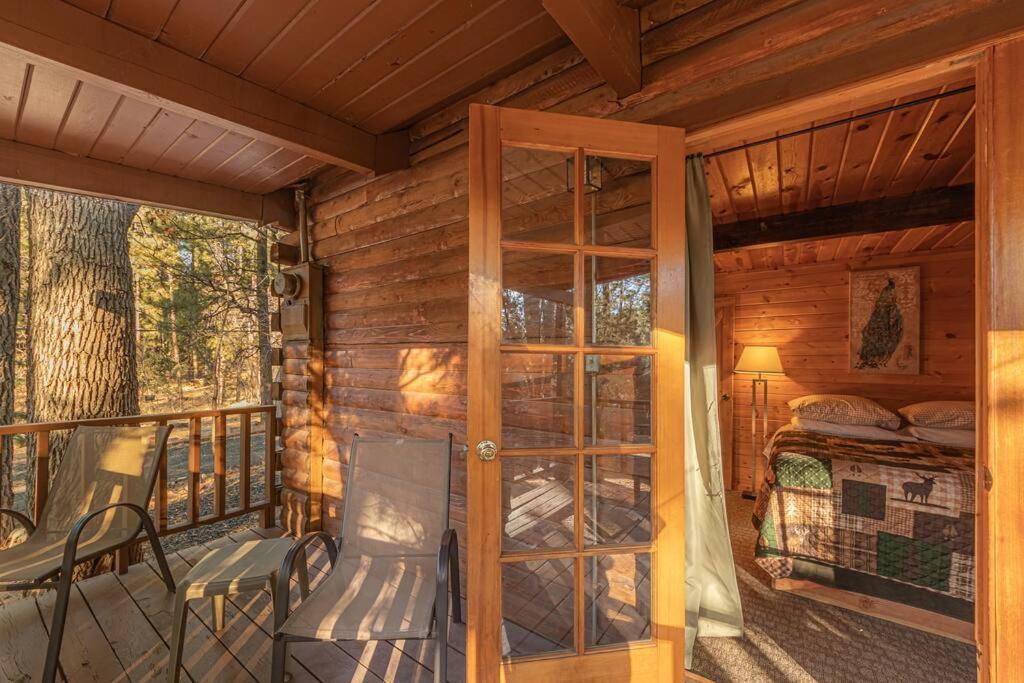 פייסון Forest Cabin 6 Enchanted Forest מראה חיצוני תמונה