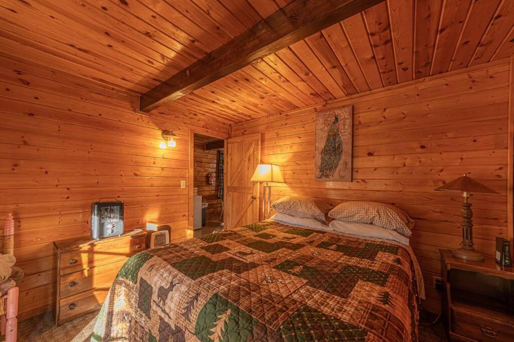 פייסון Forest Cabin 6 Enchanted Forest מראה חיצוני תמונה